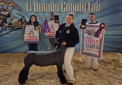 Reserve Supreme Market Lamb