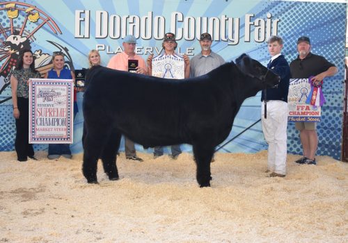 Reserve Supreme Market Steer