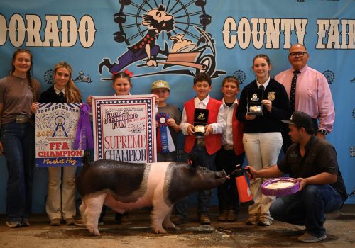 Supreme Champion Market Hog